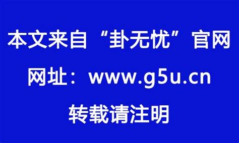 1982年是什麼生肖|1982年出生属什么生肖 1982年属狗是什么命